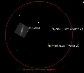 leotriplet1
